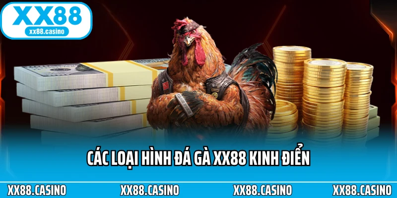 Trải Nghiệm Đá Gà XX88 - Căng Thẳng Từng Pha Ra Đòn - Winlucky99