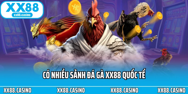 Trải Nghiệm Đá Gà XX88 - Căng Thẳng Từng Pha Ra Đòn - Winlucky99