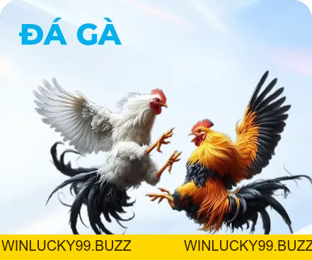 XX88 salesavvy 🏆 Trang Chủ XX88.COM | Nhà Cái XX88 Đăng Nhập Lụm 58k - Winlucky99