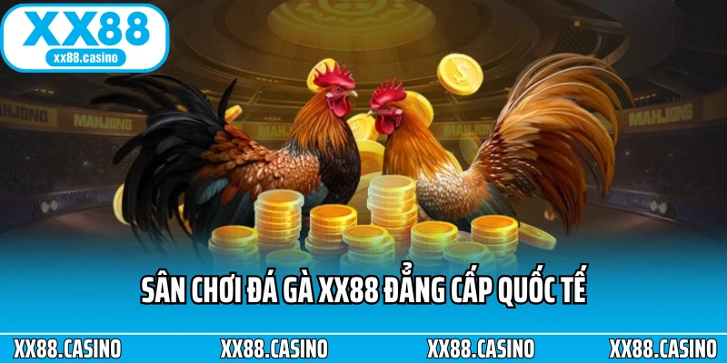 Trải Nghiệm Đá Gà XX88 - Căng Thẳng Từng Pha Ra Đòn - Winlucky99