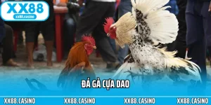 Trải Nghiệm Đá Gà XX88 - Căng Thẳng Từng Pha Ra Đòn - Winlucky99