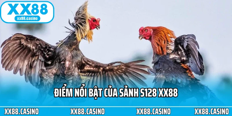 S128 XX88 - Trải Nghiệm Đá Gà Online Chuẩn Quốc Tế - Winlucky99 S128 XX88 - Trải Nghiệm Đá Gà Online Chuẩn Quốc Tế - Winlucky99