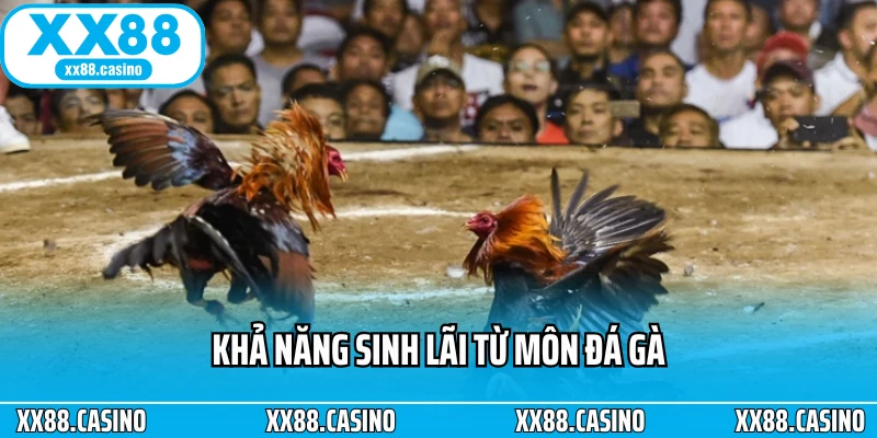 S128 XX88 - Trải Nghiệm Đá Gà Online Chuẩn Quốc Tế - Winlucky99 S128 XX88 - Trải Nghiệm Đá Gà Online Chuẩn Quốc Tế - Winlucky99