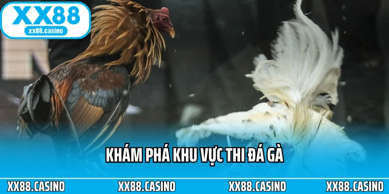Đá Gà Cựa Sắt: Đấu Trường Kịch Tính Cho Bet Thủ Mê Tốc Độ - Winlucky99 Đá Gà Cựa Sắt: Đấu Trường Kịch Tính Cho Bet Thủ Mê Tốc Độ - Winlucky99