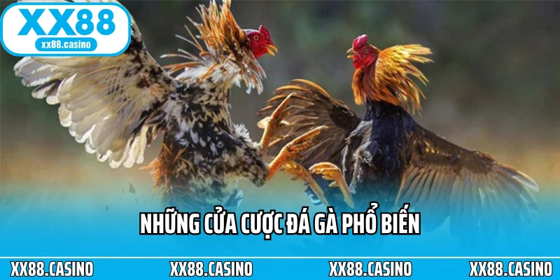 Đá Gà Cựa Sắt: Đấu Trường Kịch Tính Cho Bet Thủ Mê Tốc Độ - Winlucky99 Đá Gà Cựa Sắt: Đấu Trường Kịch Tính Cho Bet Thủ Mê Tốc Độ - Winlucky99