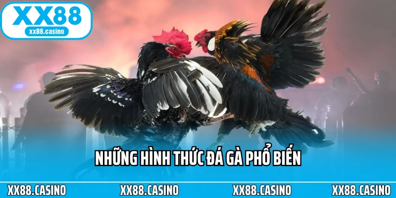 S128 XX88 - Trải Nghiệm Đá Gà Online Chuẩn Quốc Tế - Winlucky99 S128 XX88 - Trải Nghiệm Đá Gà Online Chuẩn Quốc Tế - Winlucky99