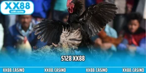 Trải Nghiệm Đá Gà XX88 - Căng Thẳng Từng Pha Ra Đòn - Winlucky99
