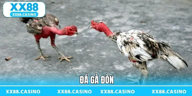 Đá Gà Đòn - Sàn Đấu Kịch Tính Đậm Bản Sắc Dân Gian Tại XX88 - Winlucky99