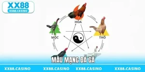 Trải Nghiệm Đá Gà XX88 - Căng Thẳng Từng Pha Ra Đòn - Winlucky99